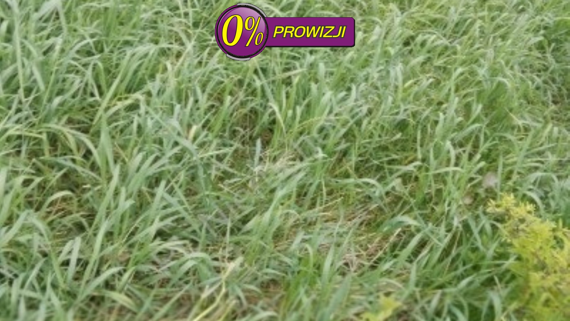 Działka na sprzedaż