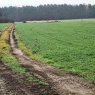 Działka na sprzedaż