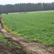 Działka na sprzedaż