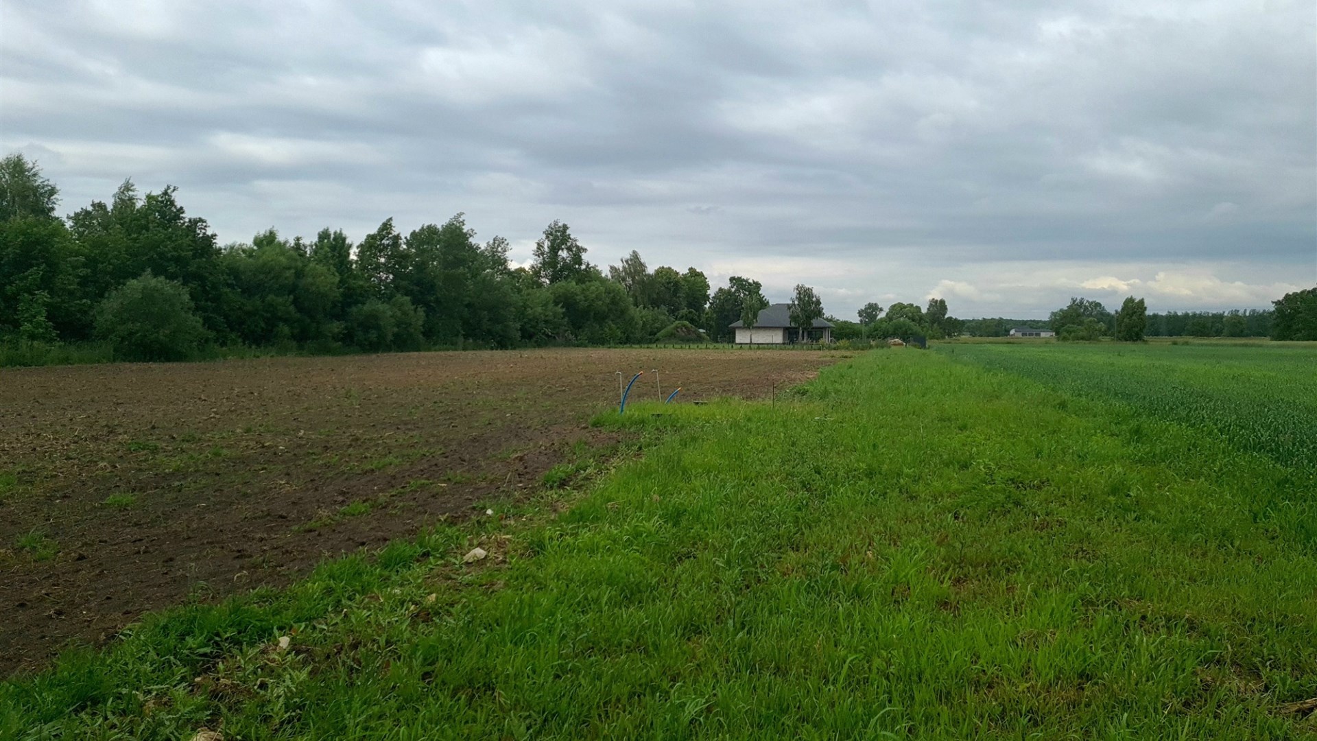 Działka na sprzedaż