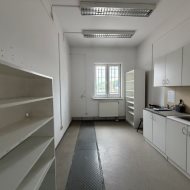 Lokal na wynajem