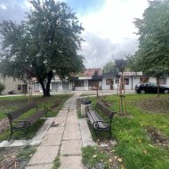 Lokal na wynajem
