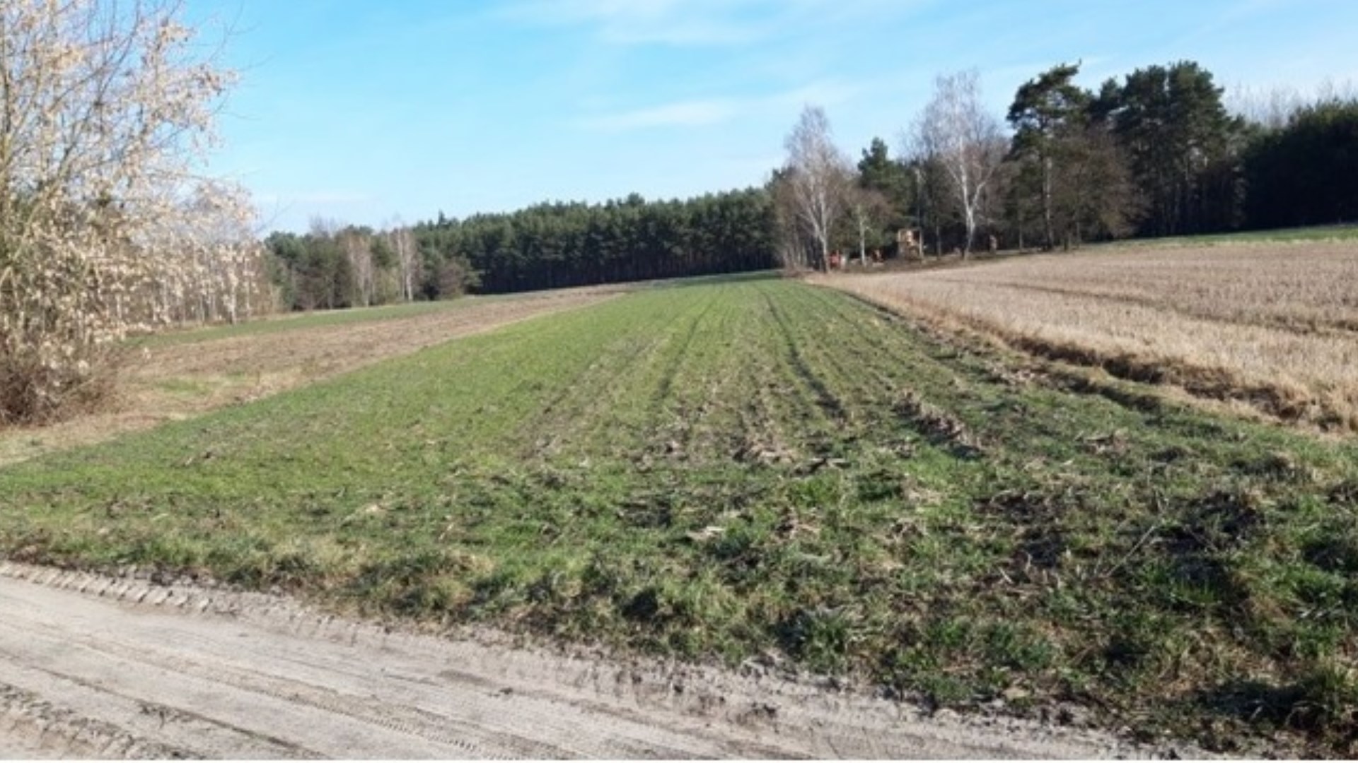 Działka na sprzedaż